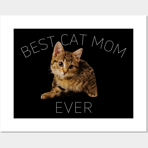 Best Cat Mom Ever, Cat Lover Cute Wall Art by K.C Designs